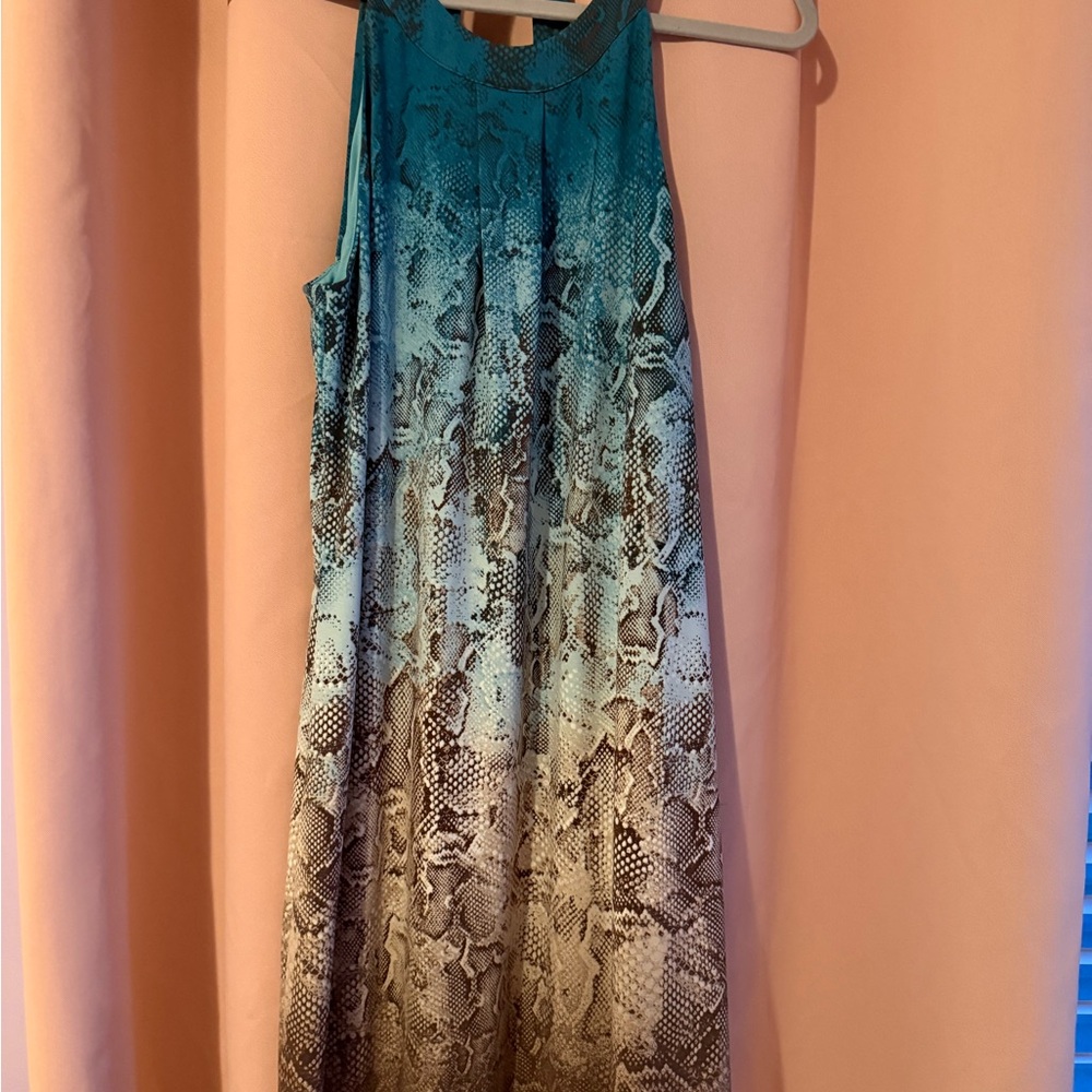 White House Black Market Teal to Cream Ombre Snake-Print Maxi Dress